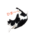 黒猫の「ナナ」（個別スタンプ：18）