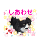 黒猫の「ナナ」（個別スタンプ：22）