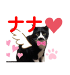 黒猫の「ナナ」（個別スタンプ：23）