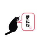 黒猫の「ナナ」（個別スタンプ：24）