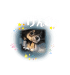 KOKIN©︎（個別スタンプ：7）