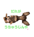 愛しのマッスルまろん（個別スタンプ：16）