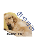 いろいろみもっち（個別スタンプ：1）