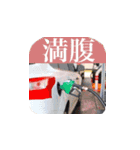 車の日常会話 Car collection vol1（個別スタンプ：20）