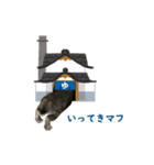 くーちゃんスタンプ2nd（個別スタンプ：6）