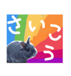 おもちくんです（個別スタンプ：3）