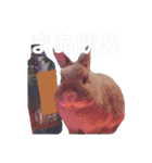 おもちくんです（個別スタンプ：11）