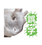 おもちくんです（個別スタンプ：14）