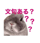 おもちくんです（個別スタンプ：16）