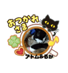 猫のアトムとリスのるかの仲良しスタンプ（個別スタンプ：2）