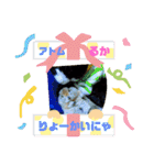 猫のアトムとリスのるかの仲良しスタンプ（個別スタンプ：7）