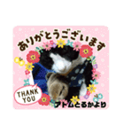 猫のアトムとリスのるかの仲良しスタンプ（個別スタンプ：9）