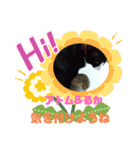 猫のアトムとリスのるかの仲良しスタンプ（個別スタンプ：12）