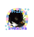 猫のアトムとリスのるかの仲良しスタンプ（個別スタンプ：16）