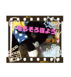 猫のアトムとリスのるかの仲良しスタンプ（個別スタンプ：21）