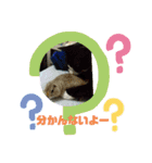 猫のアトムとリスのるかの仲良しスタンプ（個別スタンプ：22）