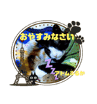猫のアトムとリスのるかの仲良しスタンプ（個別スタンプ：24）