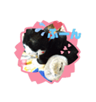 猫のアトムとリスのるかの仲良しスタンプ（個別スタンプ：25）