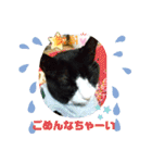 猫のアトムとリスのるかの仲良しスタンプ（個別スタンプ：28）