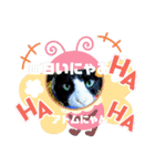猫のアトムとリスのるかの仲良しスタンプ（個別スタンプ：30）