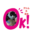 猫のアトムとリスのるかの仲良しスタンプ（個別スタンプ：37）