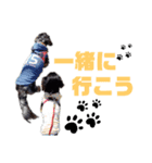 シエルくん,アイルくん by晩ママ（個別スタンプ：5）