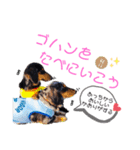 シエルくん,アイルくん by晩ママ（個別スタンプ：6）