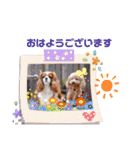 モカロンと楽しい毎日（個別スタンプ：1）