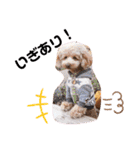 モカロンと楽しい毎日（個別スタンプ：6）