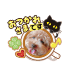 モカロンと楽しい毎日（個別スタンプ：8）