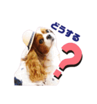 モカロンと楽しい毎日（個別スタンプ：18）