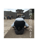 TyuinTyuin stamp（個別スタンプ：6）