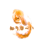 うさぎのロップイヤー（個別スタンプ：10）