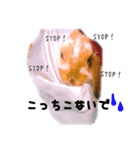 うさぎのロップイヤー（個別スタンプ：12）