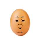 僕らたまごたち（個別スタンプ：1）