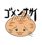 三匹の丸い猫（個別スタンプ：2）