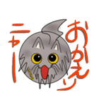 三匹の丸い猫（個別スタンプ：3）