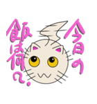 三匹の丸い猫（個別スタンプ：5）