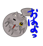 三匹の丸い猫（個別スタンプ：6）