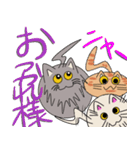 三匹の丸い猫（個別スタンプ：12）