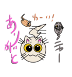 三匹の丸い猫（個別スタンプ：17）