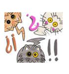 三匹の丸い猫（個別スタンプ：19）