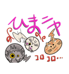 三匹の丸い猫（個別スタンプ：21）