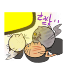 三匹の丸い猫（個別スタンプ：23）