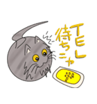 三匹の丸い猫（個別スタンプ：26）