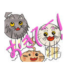 三匹の丸い猫（個別スタンプ：36）