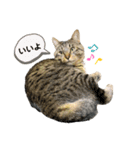 MAMEZOU_（個別スタンプ：2）
