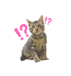 MAMEZOU_（個別スタンプ：3）