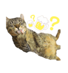 MAMEZOU_（個別スタンプ：12）