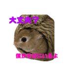 ミニウサギすたんぷ（個別スタンプ：12）